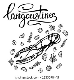 A set of seafood, restaurant design, menu design, lobster, langoustine. Illustration, vector