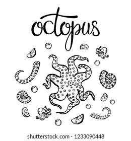 A set of seafood, restaurant design, menu design, octopus. Illustration, vector