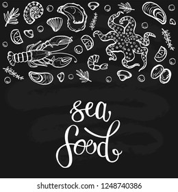 A set of seafood, restaurant design, menu design, fish, clams, oysters, lobster, langoustine, crab, shrimp, mussels. Illustration, lettering, vector