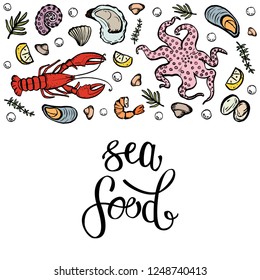 A set of seafood, restaurant design, menu design, fish, clams, oysters, lobster, langoustine, crab, shrimp, mussels. Illustration, lettering, vector