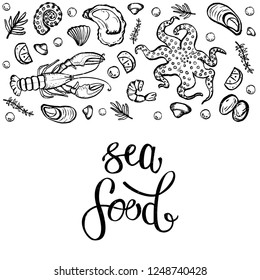 A set of seafood, restaurant design, menu design, fish, clams, oysters, lobster, langoustine, crab, shrimp, mussels. Illustration, lettering, vector