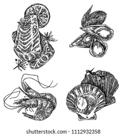 Set of seafood. Salmon, shrimp, scallop and mussel. Sketch. Engraving style. Vector illustration.