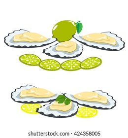 Set seafood. The shells of oysters, lemon and lime pieces. Leaves of parsley on a shell. Healthy eating.