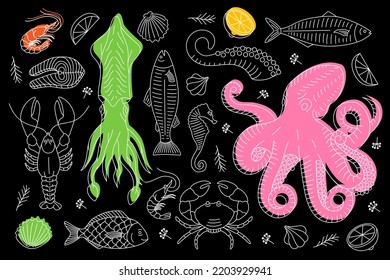Set of seafood sketch. Marine delicacy outline banner. Sea animal line illustration. Fishes, lobster, squid, octopus, crab, prawns.