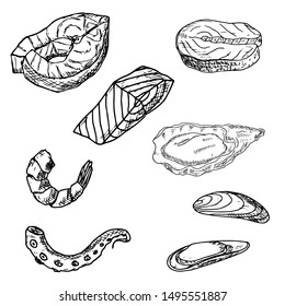 Set of seafood. Vector cartoon illustrations. Isolated objects on a white background. Hand-drawn style.
