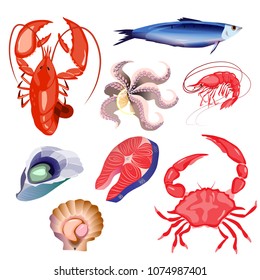 Set of seafood. Vector illustration. Isolated objects on white background. Lobster, fish steak,  shrimp, scallop, oyster, red crab, octopus.