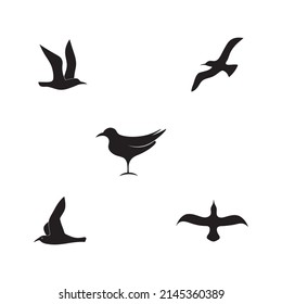 Set of seagul icon logo vector design