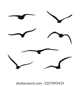 set of seagull abstract silhouette