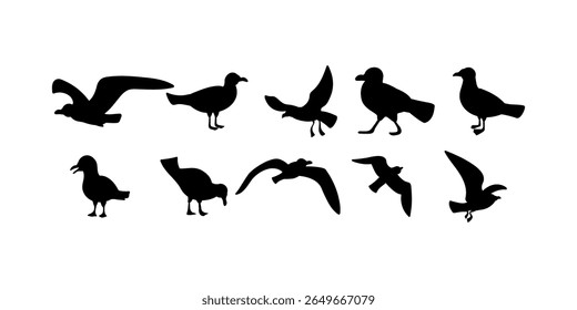 Set of seagull bird silhouettes in flight and perched. Ideal for marine, nautical, wildlife, nature, and freedom-themed design concepts in black vector style