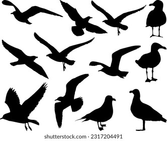 Set of Seagull Birds Silhouette