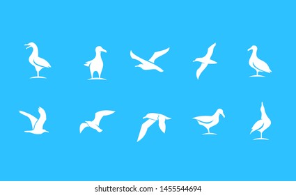 set of seagull with blue color