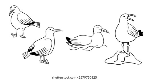 Set of seagull doodles in black and white with various poses including standing, swimming, and perching on a rock, showcasing a minimalistic and coastal theme