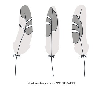 Set of seagull feathers in doodle style. Beautiful design elements.