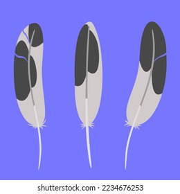Set of seagull feathers in flat style. Beautiful design elements.