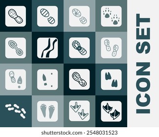 Definir pegada de pata de gaivota, Camelo, sapatos de pegadas humanas, Serpente e ícone. Vetor