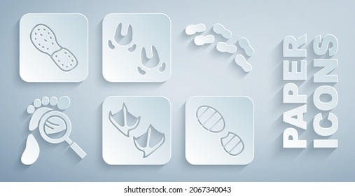Set Seagull paw footprint, Human footprints shoes, Magnifying glass with footsteps, Wild boar and  icon. Vector