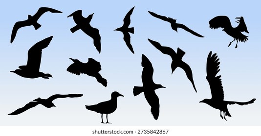 Conjunto silueta gaviota 