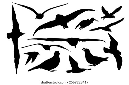 Set of seagull silhouettes. Isolated birds on white background. hand drawing. Not AI. Vector illustration.