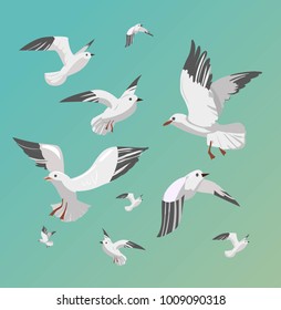 Set of seagull. Vector illustration. Isolated