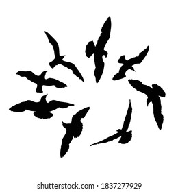 Set of seagulls birds, nautical sailor tattoo sketch. Black stroke of flying sea gull silhouettes on white background. Marine set. Drawings of different shapes of water birds in the flock. Vector.