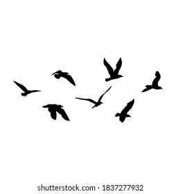 Set of seagulls birds, nautical sailor tattoo sketch. Black stroke of flying sea gull silhouettes on white background. Marine set. Drawings of different shapes of water birds in the flock. Vector.