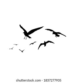 Set of seagulls birds, nautical sailor tattoo sketch. Black stroke of flying sea gull silhouettes on white background. Marine set. Drawings of different shapes of water birds in the flock. Vector.