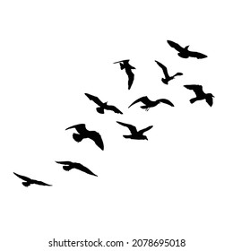 Set of seagulls birds, nautical sailor tattoo sketch. Black stroke of flying sea gull silhouettes on white background. Marine set. Drawings of different shapes of water birds in the flock. Vector.