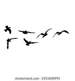 Set of seagulls birds, nautical sailor tattoo sketch. Black stroke of flying sea gull silhouettes on white background. Marine set. Drawings of different shapes of water birds in the flock. Vector.