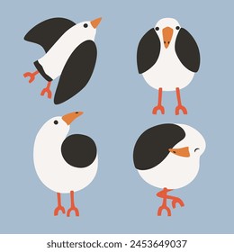 Set of seagulls in different angles. Black and white bird with orange beak and paws. Rounded shapes. Animal stylization
