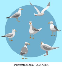 Set of seagulls in different poses.Vector illustration in flat style.