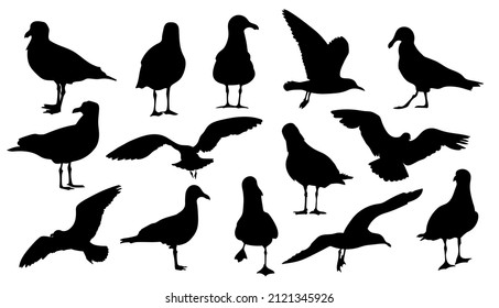 A set of seagulls silhouette