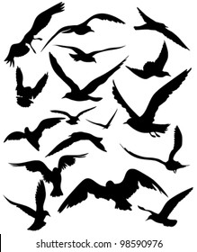 set of seagulls silhouettes - black flying birds on white