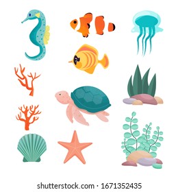 Set from seahorse, turtle, exotic fish, clown fish, jellyfish, starfish, seashell, corals, underwater plants in vector design. Isolated objects on white background. 