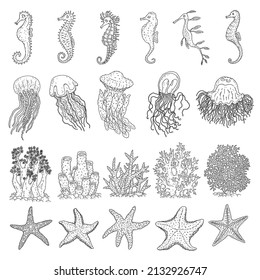 Set seahorses, jellyfish, starfishes and corals different forms. Vector ocean animals underwater life doodle line isolated illustrations.