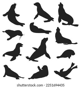 Set of seal animal animal silhouettes of various styles