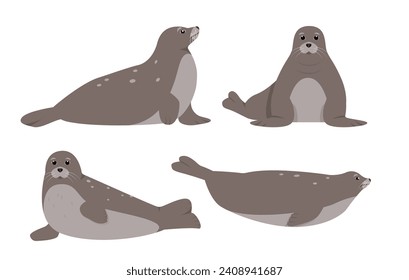 Set of Seal animals in different poses isolated on white background. Sea or ocean water mammal animal. Seals icons. Nature Vector flat or cartoon illustration.