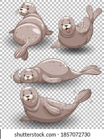 Set of seal cartoon transparent background illustration