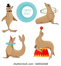 Set of Seals in a circus