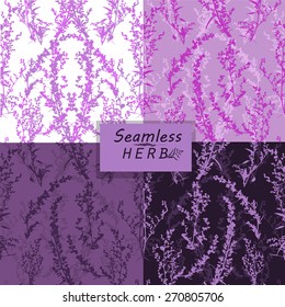 Set Seamless background violet herb. Vector