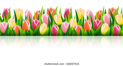 Set of seamless borders with fresh green grass and flowers