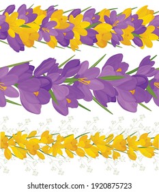 A set of seamless brushes made of crocus flowers. Colorful primrose flowers. Vector.