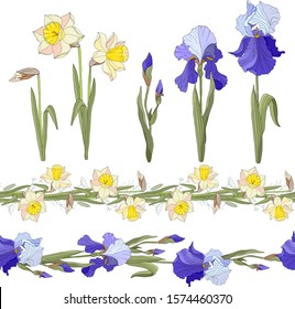 
set of seamless brushes. yellow daffodils and blue irises. flowers isolated on white background.