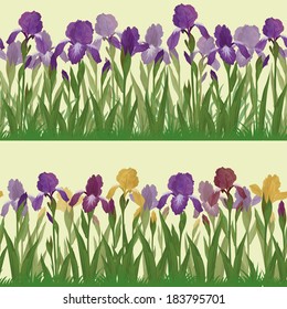 Set seamless of colorful flowers iris, floral pattern. Vector