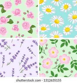 Set of seamless floral patterns. Chamomile, rose, lavender, wild rose flowers. Vector illustration of fragrant flowers and green leaves in a simple cartoon flat style.