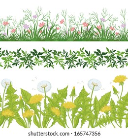 Set seamless of flowers, green grass and leaves, isolated on white background. Vector
