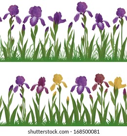 Set seamless of flowers iris, leaves and green grass, isolated on white background. Vector