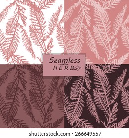 Set Seamless grass herbarium. Vector