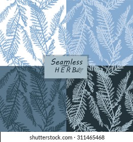 Set Seamless grass herbarium. Vector