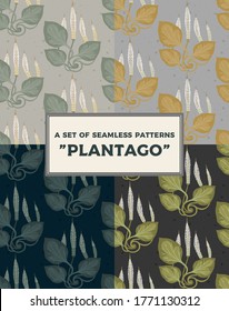 Conjunto de patrones de hierbas sin costura Gran plátano, Plantago mayor. Flores de campo silvestre de plantas medicinales.