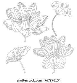 Set of seamless monochrome lotus.